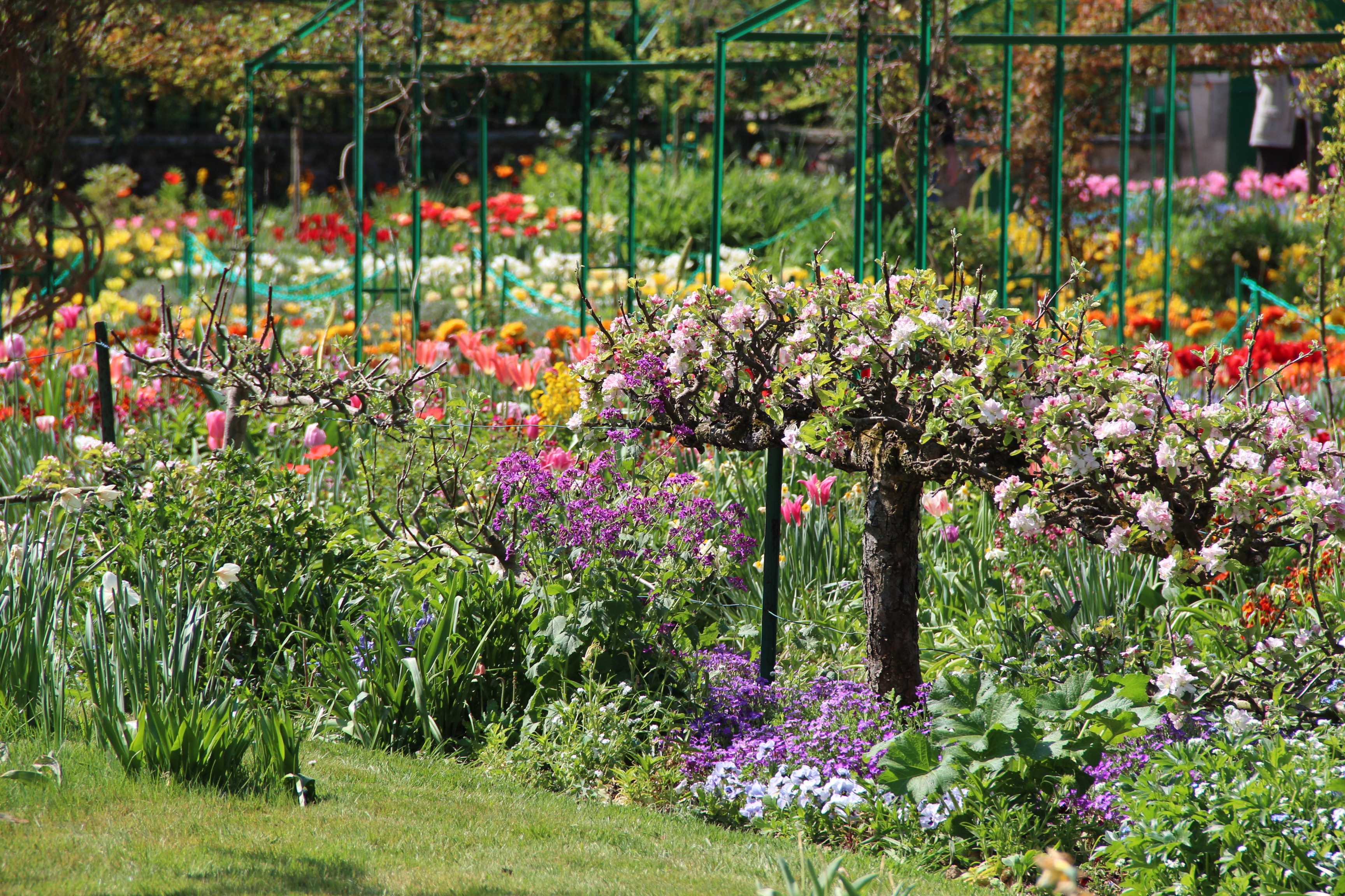 Giverny