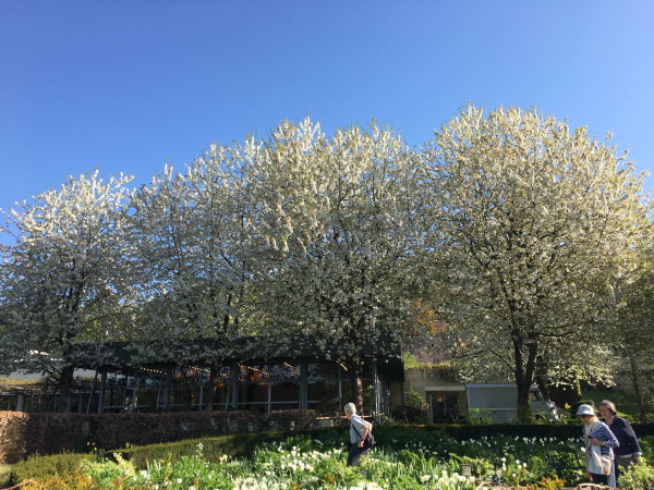 Giverny