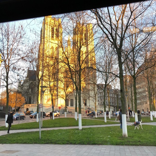 성 미카엘과 성녀 구둘라 성당 (Cathédral des sts Michel et Gudule)