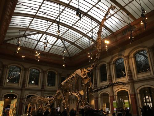 [1층 1관] 공룡들의 세계 [Dinosaur Hall]