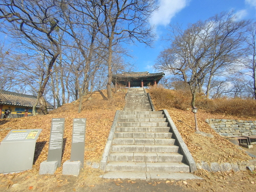5. 쌍수정
